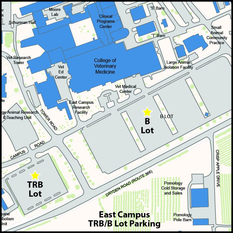 Conference And Event Parking | Facilities And Campus Services